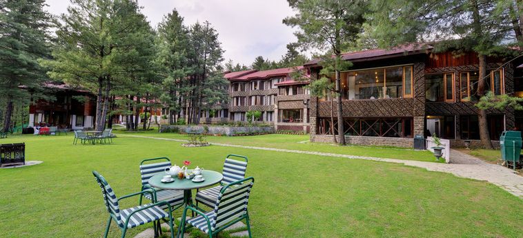 Hotel Senator Pine-N-Peak Pahalgam: Foto 