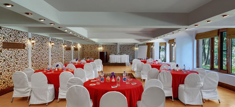 Hotel Senator Pine-N-Peak Pahalgam: Foto 