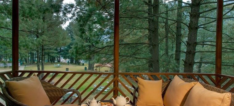 Hotel Senator Pine-N-Peak Pahalgam: Foto 