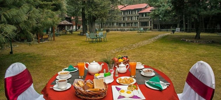 Hotel Senator Pine-N-Peak Pahalgam: Foto 