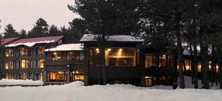 Hotel Senator Pine-N-Peak Pahalgam: Foto 