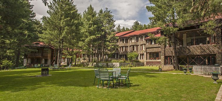 Hotel Senator Pine-N-Peak Pahalgam: Foto 