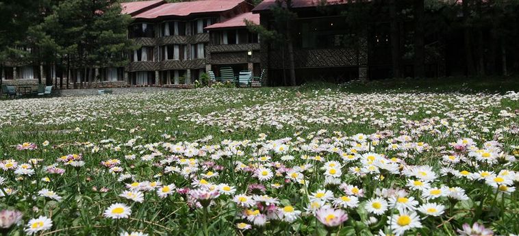 Hotel Senator Pine-N-Peak Pahalgam: Foto 