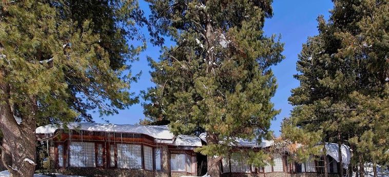 Hotel Senator Pine-N-Peak Pahalgam: Foto 