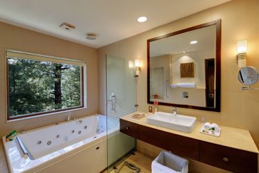 Hotel Senator Pine-N-Peak Pahalgam: Photo 