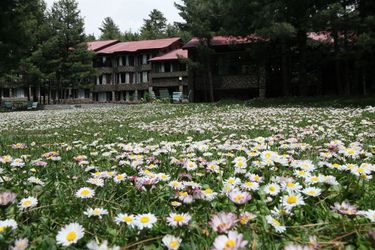 Hotel Senator Pine-N-Peak Pahalgam: Photo 