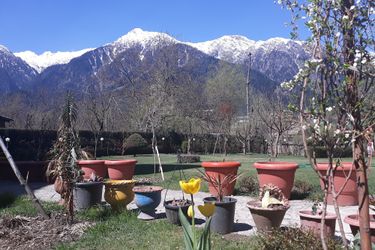 Hotel Premier Pahalgam Pahalgam: Photo 