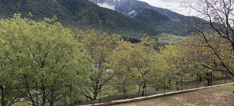 Hotel The Chinar Resorts And Spa Pahalgam : Photo 