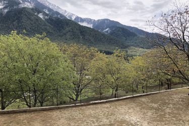Hotel The Chinar Resorts And Spa Pahalgam: Photo 