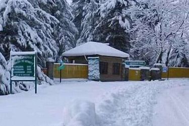 Hotel Magic Himalayan Cottage Pahalgam: Photo 
