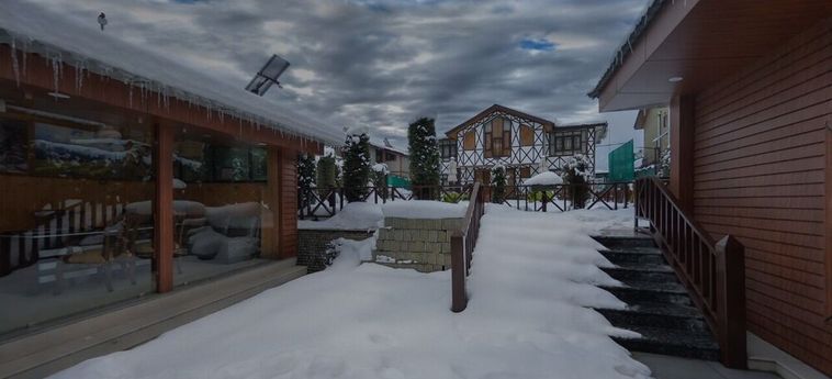 Hotel Wildflower Villa Resort Pahalgam Pahalgam: Foto 