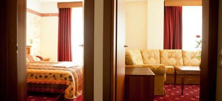 Hotel Amber Palace:  PALANGA