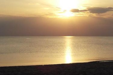 Hotel Amber Palace Palanga: Photo 