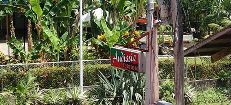 Audissie Pension:  PALAWAN ISLAND