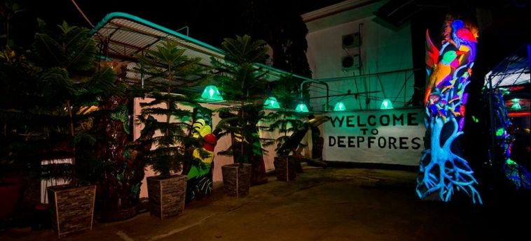 Deep Forest Garden Hotel:  PALAWAN ISLAND