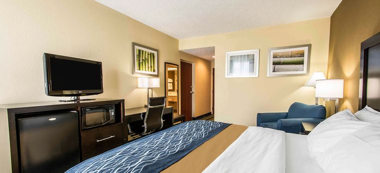 Comfort Inn & Suites Fl056 Hotel:  PALM BEACH (FL)