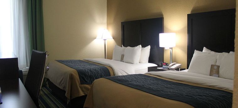 Comfort Inn & Suites Fl056 Hotel:  PALM BEACH (FL)