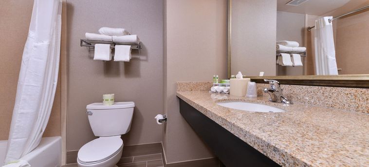 Hotel Holiday Inn Express & Suites Indio:  PALM SPRINGS (CA)