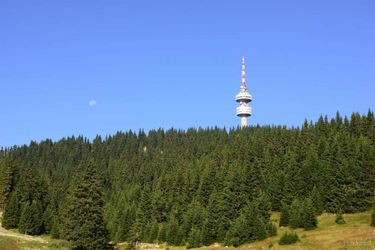 Hotel Mursalitsa Pamporovo: Photo 