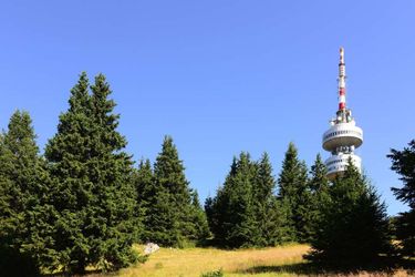 Hotel Mursalitsa Pamporovo: Photo 