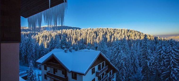 Hotel Sunny Hills Ski Pamporovo: Foto 