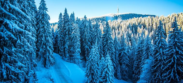 Hotel Sunny Hills Ski Pamporovo: Foto 