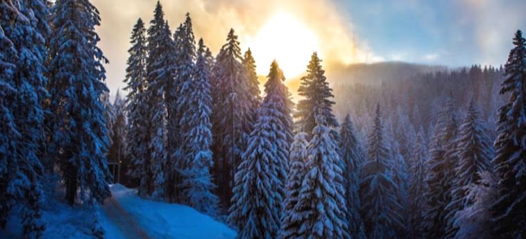 Hotel Sunny Hills Ski Pamporovo: Foto 