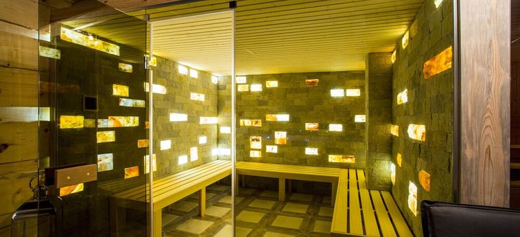 Hotel Sunny Hills Ski Pamporovo : Photo 