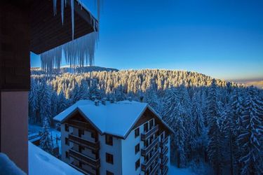 Hotel Sunny Hills Ski Pamporovo: Photo 