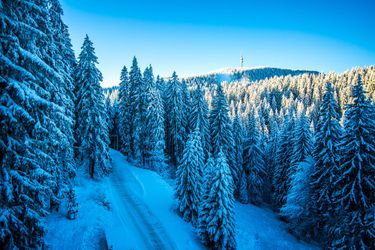 Hotel Sunny Hills Ski Pamporovo: Photo 