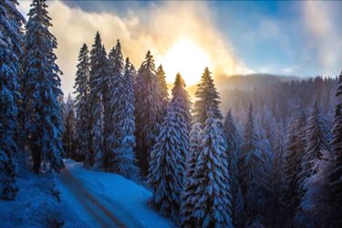 Hotel Sunny Hills Ski Pamporovo: Photo 