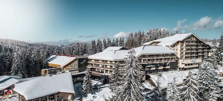 Perelik Hotel Pamporovo: Foto 