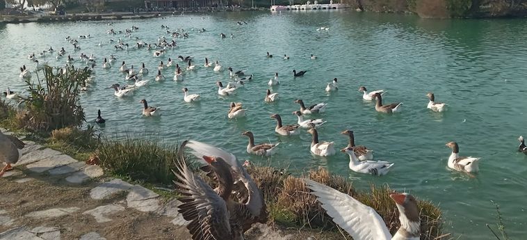 Gunes Thermal Hotel Pamukkale : Photo 