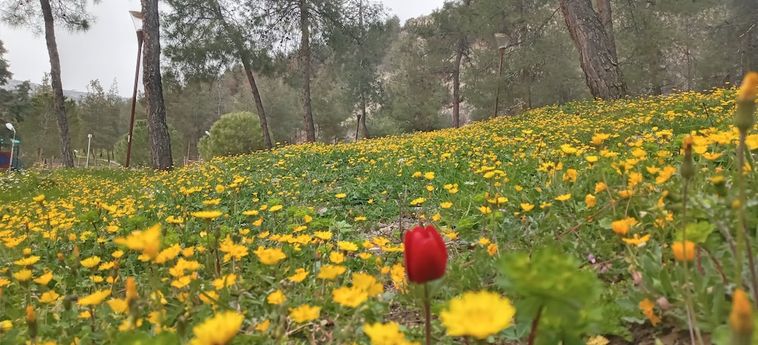 Gunes Thermal Hotel Pamukkale: Foto 
