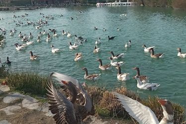 Gunes Thermal Hotel Pamukkale: Photo 