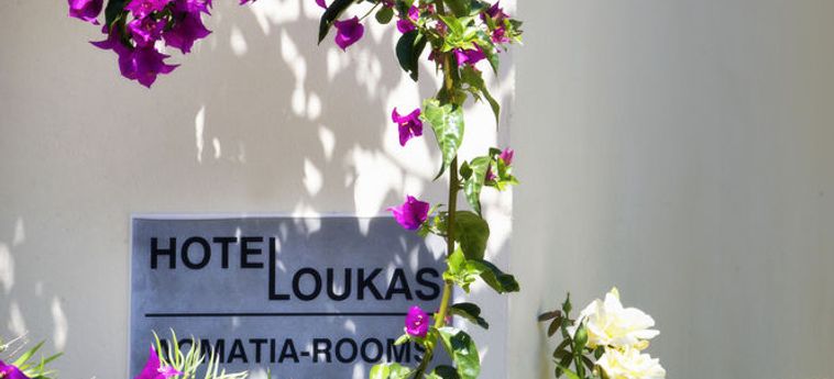 Loukas Hotel & Apartments:  PARGA