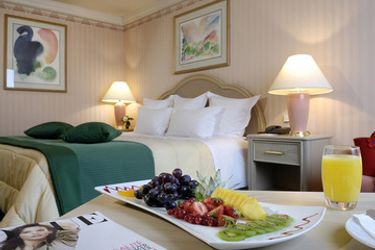 Hotel Mercure Paris Velizy:  PARIS