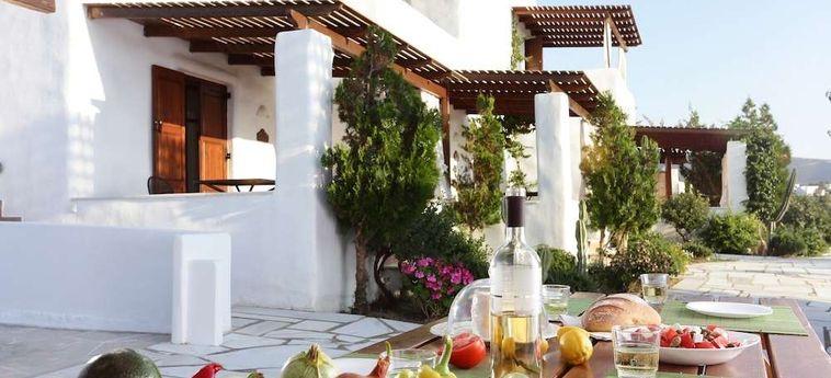 Hotel 9 Muses Paros: Foto 