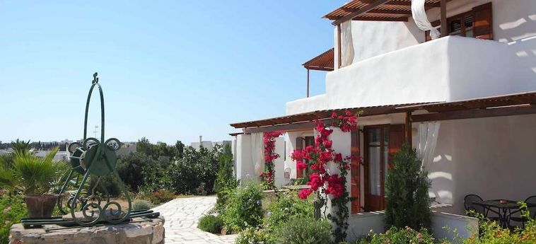 Hotel 9 Muses Paros  : Photo 