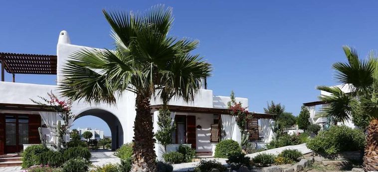 Hotel 9 Muses Paros : Photo 
