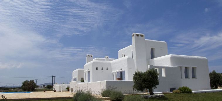 Hotel White Dunes Luxury Suites Paros  : Photo 
