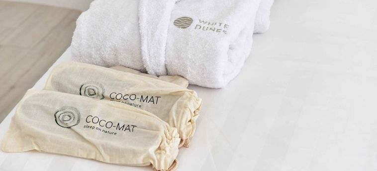 Hotel White Dunes Luxury Suites Paros  : Photo 