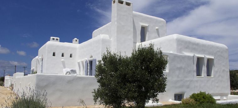 Hotel White Dunes Luxury Suites Paros  : Photo 