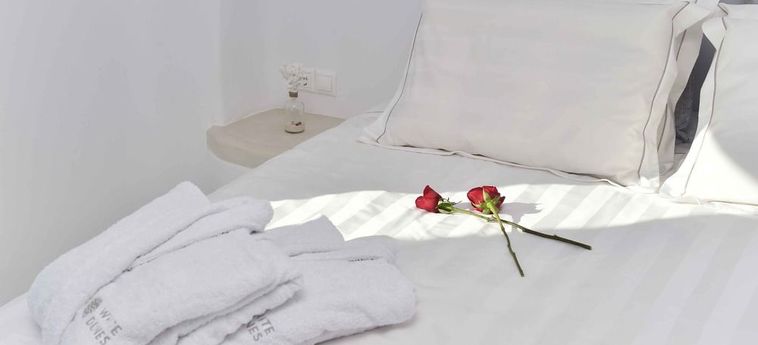 Hotel White Dunes Luxury Suites:  PAROS