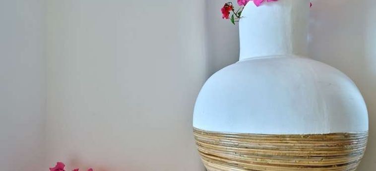 Zefi Hotel &Amp; Suites  Paros  : Photo 