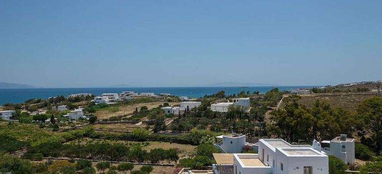Hotel Villa Vinea Paros Paros : Foto 