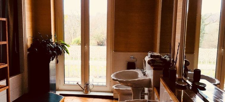 Hotel Château Ollé Laprune Pau: Foto 
