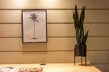 Ostal Pau Université - Sure Hotel Collection By Best Western  Pau: Photo 