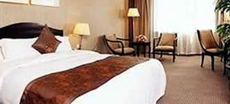 Hotel Comfort Inn & Suites:  PEKING