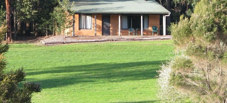 Hotel Pemberton Lake View Chalets:  PEMBERTON - WESTERN AUSTRALIA